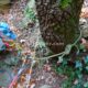 021 Barranc Polvori Vell Sant Corneli Rocjumper