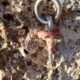 021 Via Ferrata Remedio Chelva Rocjumper