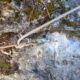 022 Canal Roca Regina Llimiana Rocjumper