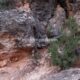 022 Via Ferrata Picarzos Ayna Rocjumper