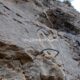 022 Via Ferrata Zarzalar Nerpio Rocjumper