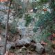 023 Barranc Polvori Vell Sant Corneli Rocjumper