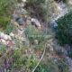 023 Canal Roca Regina Llimiana Rocjumper