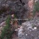 024 Via Ferrata Picarzos Ayna Rocjumper
