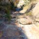 025 Barranc Polvori Nou Sant Corneli Rocjumper