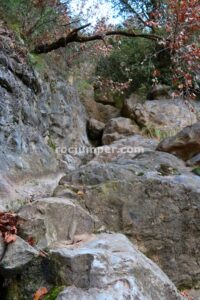 Torrent de Sant Romà - Torrent del Polvorí Vell - Sant Corneli - RocJumper