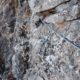 025 Via Ferrata Cueva Mona Linares Mora Rocjumper