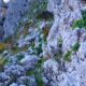 025 Via Ferrata Zuheros Rocjumper