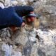 026 Barranc Morrera Santa Linya Rocjumper