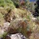 026 Barranc Polvori Nou Sant Corneli Rocjumper