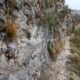 026 Via Ferrata Zarzalar Nerpio Rocjumper