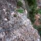 027 Via Ferrata Picarzos Ayna Rocjumper