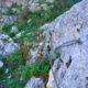 027 Via Ferrata Zuheros Rocjumper