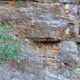 028 Barranc Morrera Santa Linya Rocjumper