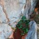 029 Via Ferrata Fuente Peña Jaen Rocjumper