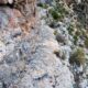 029 Via Ferrata Zarzalar Nerpio Rocjumper