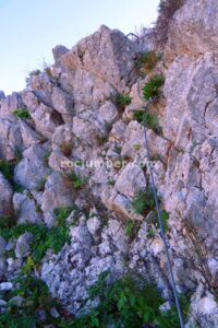 Vertical - Vía Ferrata Zuheros - RocJumper