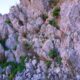 030 Via Ferrata Zuheros Rocjumper