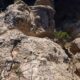 031 Via Ferrata Cueva Mona Linares Mora Rocjumper