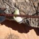 031 Via Ferrata Gontar Rocjumper