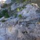 031 Via Ferrata Monte Ardal Yeste Rocjumper