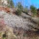 032 Barranc Polvori Nou Sant Corneli Rocjumper