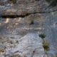 032 Canal Roca Regina Llimiana Rocjumper