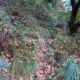 033 Barranc Polvori Vell Sant Corneli Rocjumper