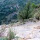 033 Canal Roca Regina Llimiana Rocjumper