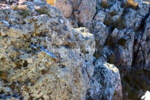 Grimpada - Vía Ferrata de la Rendija - Puebla de Don Fadrique - RocJumper