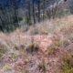 034 Barranc Polvori Nou Sant Corneli Rocjumper