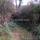 034 Barranc Polvori Vell Sant Corneli Rocjumper
