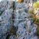 034 Via Ferrata Pas Cabreds Tavernes Valldigna Rocjumper