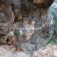 034 Via Ferrata Picarzos Ayna Rocjumper