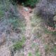 035 Barranc Polvori Vell Sant Corneli Rocjumper