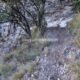 035 Via Ferrata Monte Ardal Yeste Rocjumper