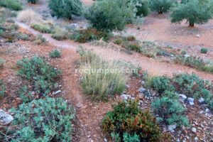 Retorno - Vía Ferrata Fuente de la Peña - Jaén - RocJumper