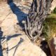 038 Via Ferrata Gontar Rocjumper