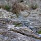 039 Canal Roca Regina Llimiana Rocjumper