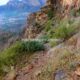 039 Via Ferrata Callejones Gato Paso Gato Orihuela Rocjumper