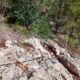 039 Via Ferrata Falconera Marxuquera Rocjumper