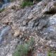 040 Canal Roca Regina Llimiana Rocjumper