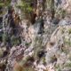 040 Via Ferrata Pas Cabreds Tavernes Valldigna Rocjumper