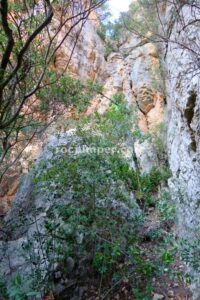 Aproximación - Vía Ferrata del Bisbe o Morrera - Santa Linya - RocJumper