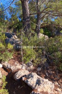 Pasamanos - Vía Ferrata Góntar - RocJumper