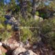 041 Via Ferrata Gontar Rocjumper