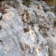 041 Via Ferrata Zarzalar Nerpio Rocjumper