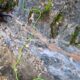043 Canal Roca Regina Llimiana Rocjumper