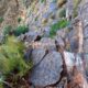 044 Via Ferrata Callejones Gato Paso Gato Orihuela Rocjumper