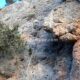 044 Via Ferrata Remedio Chelva Rocjumper